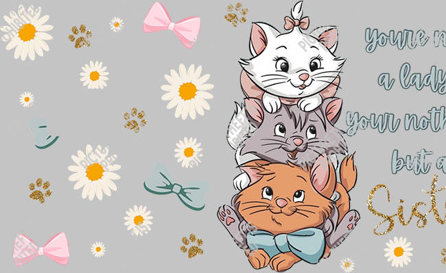 Bank  Card Sticker-BC-1334